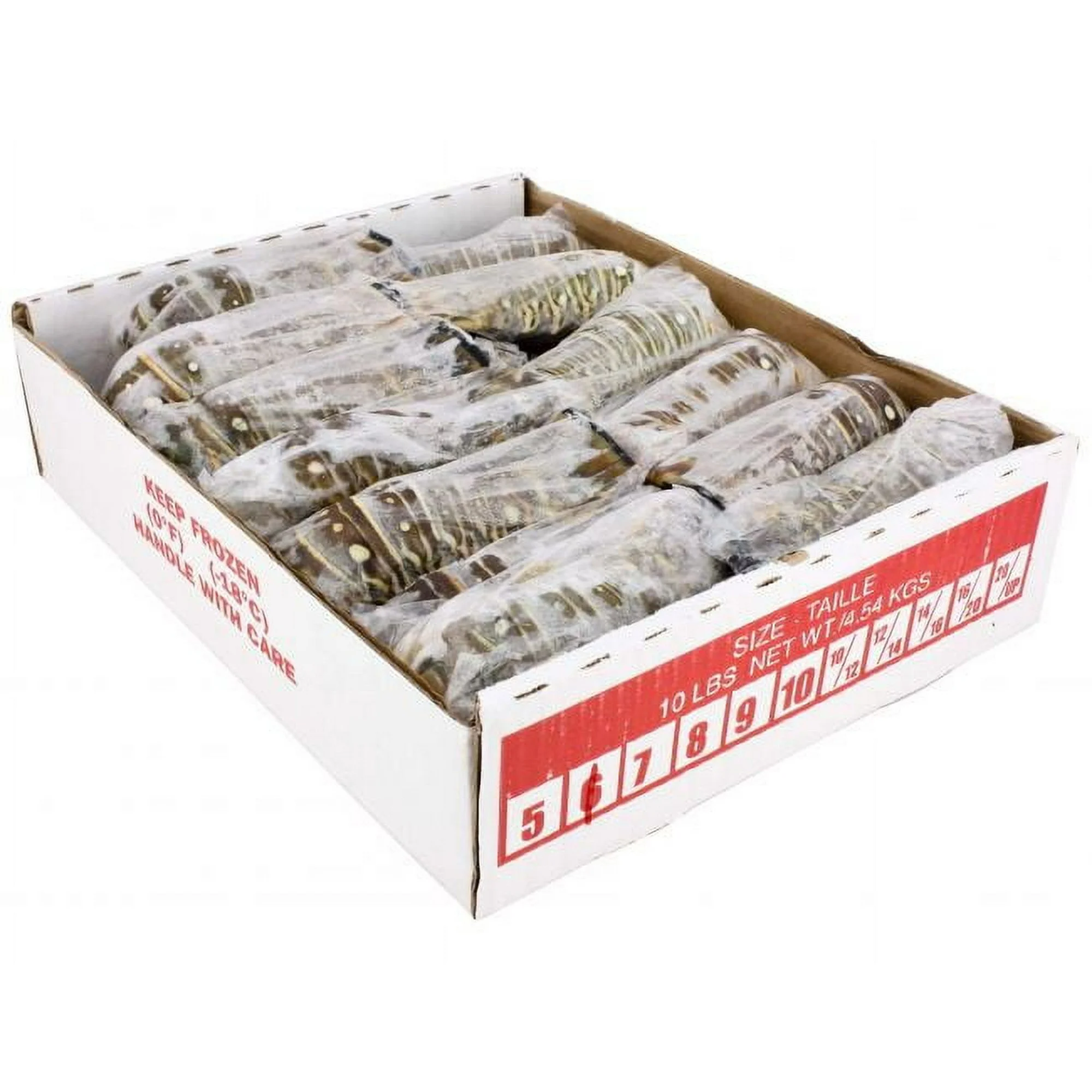 Frozen Seafood 6 Ounce Warm Water Lobster Tail, 10 Pound - 1 each.